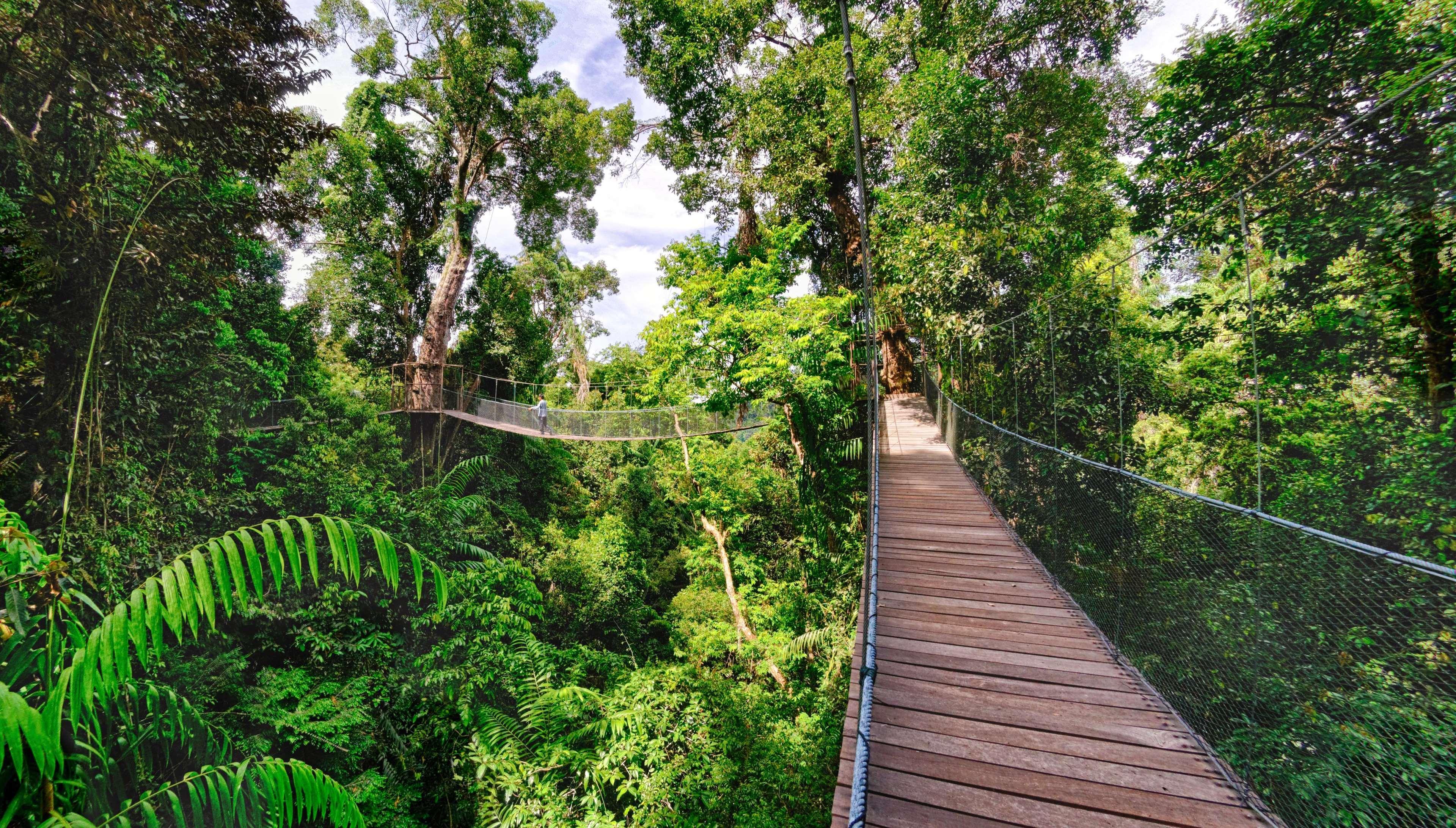 Bunga Raya Island Resort & Spa Gaya Eksteriør billede